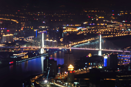 上海杨浦大桥夜景