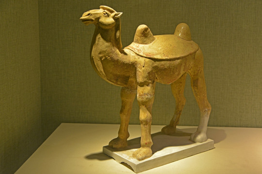 唐代三彩釉陶双峰骆驼