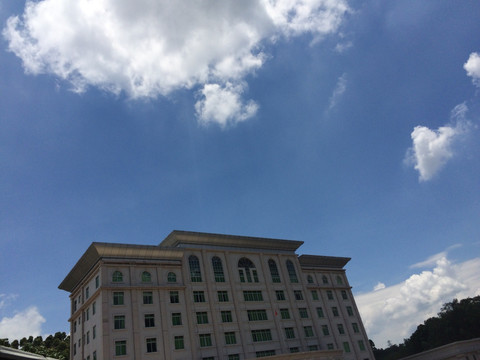 楼房