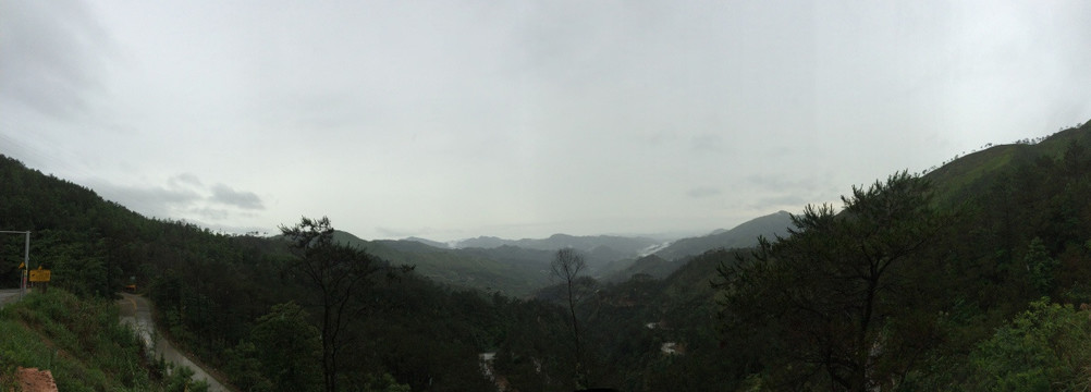 钱排风光
