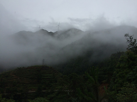 钱排风光