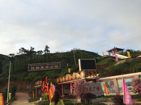 钱排森林公园