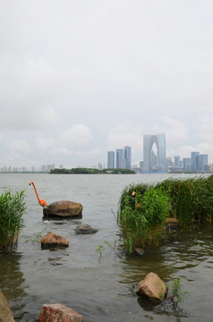 苏州金鸡湖风光