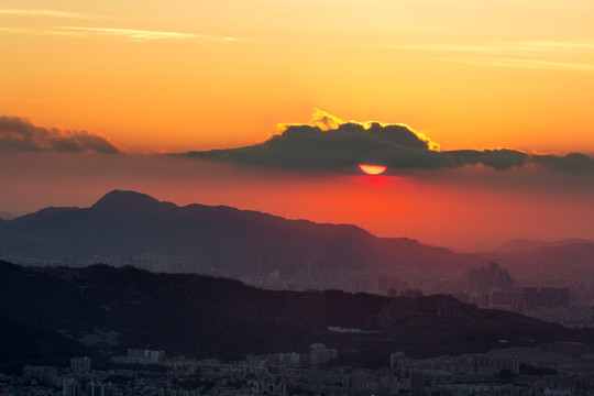 梧桐晚霞