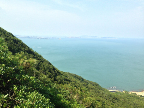 海边绿色植物