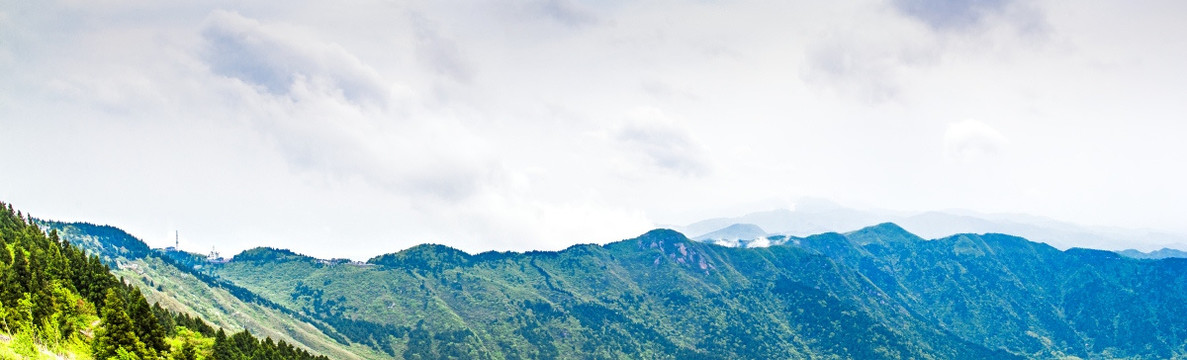 南岳衡山风景区 云雾茶
