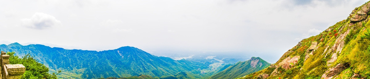南岳衡山风景区 云雾茶