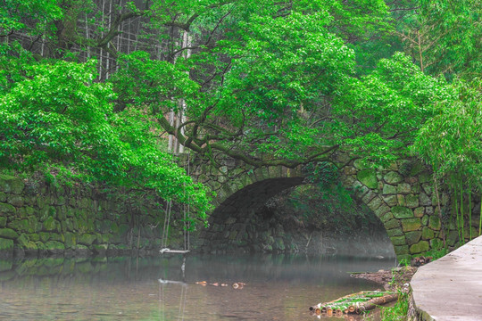 古石拱桥与古树秋千架