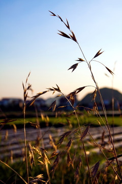 小河湾