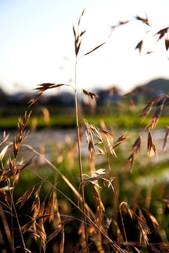 小河湾