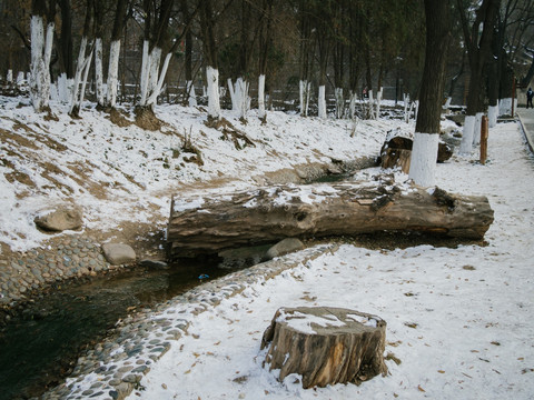 雪后树林 小溪