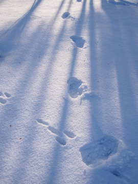 雪地光影脚印
