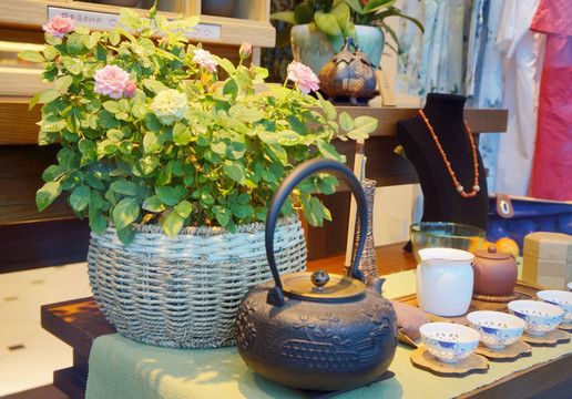 茶壶与绿植