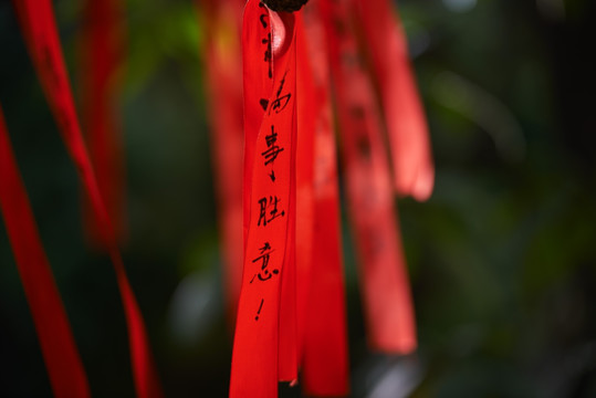 许愿条 祝福语