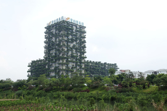 有绿植的高楼