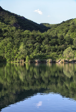 山水绿树美景