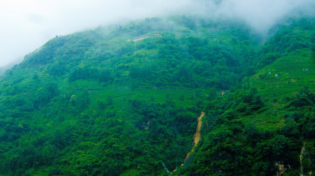 山泉 溪水