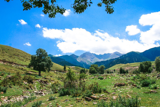 天山山脉山川山谷