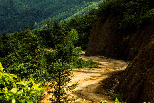 天露山半山腰