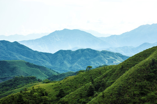 天露山风景