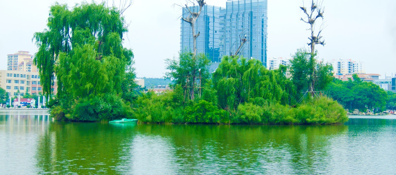 湖中绿洲