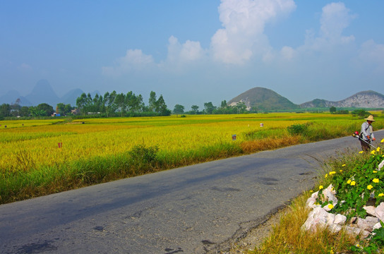 风景