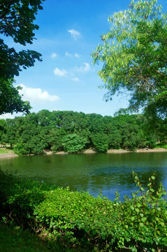 水池绿生态