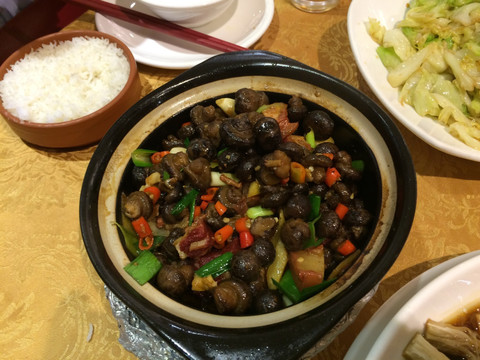 小蘑菇