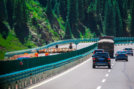 果子沟G30高速公路沿途风景