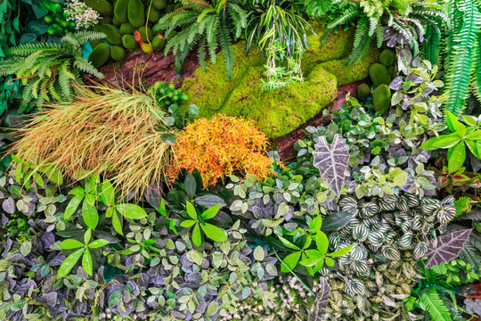 花墙 绿叶背景墙 植物背景墙