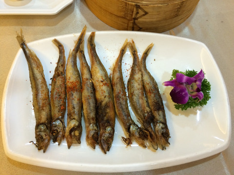 多春鱼