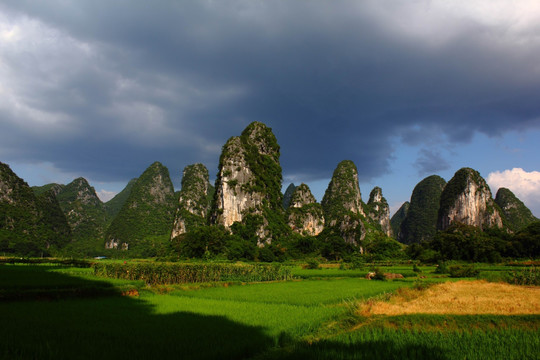 奇峰镇风光