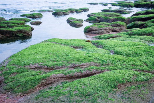 青岛海边