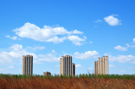 小区建筑群