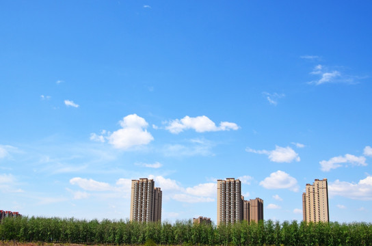 小区绿化