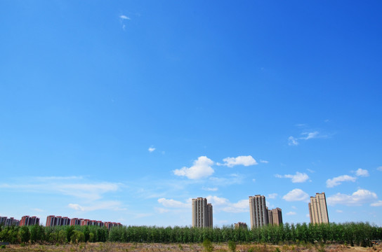 小区绿化