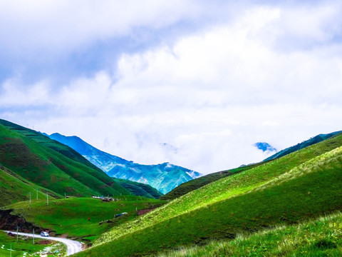 大海草山