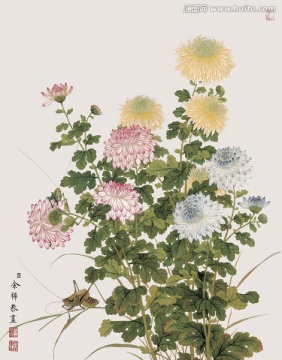 历代名画 花鸟国画（未分层）