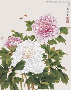 历代名画 花鸟国画（未分层）