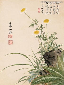 历代名画 花鸟国画（未分层）