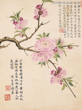 历代名画 花鸟国画（未分层）