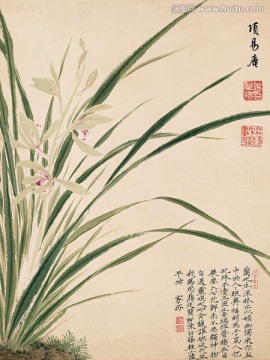 历代名画 花鸟国画（未分层）