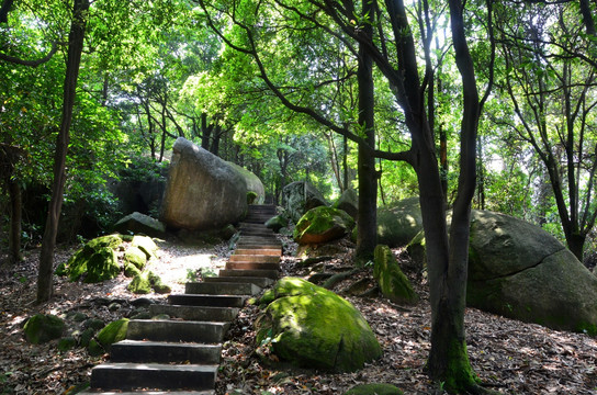 山间小路