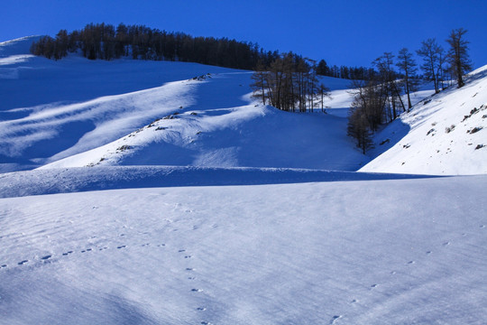 喀纳斯阿勒泰山区禾木雪景