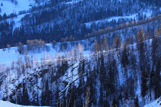 喀纳斯阿勒泰山区禾木雪景