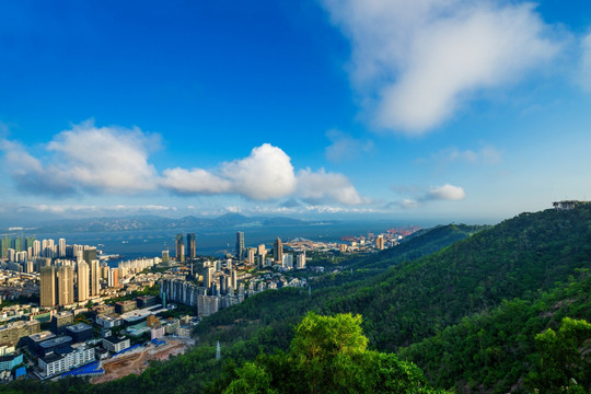 大南山下的深圳蛇口