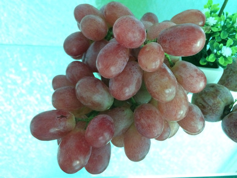 葡萄2
