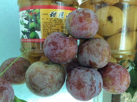 三华李