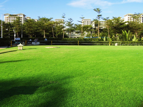 五星级酒店大草坪