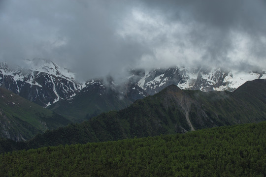 白马雪山